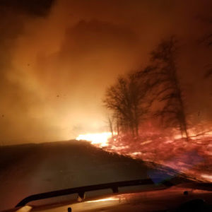 Meet your Posher, Jerrid